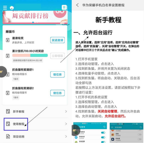 抓鱼猫app有危险吗，抓鱼猫APP会泄露个人信息吗